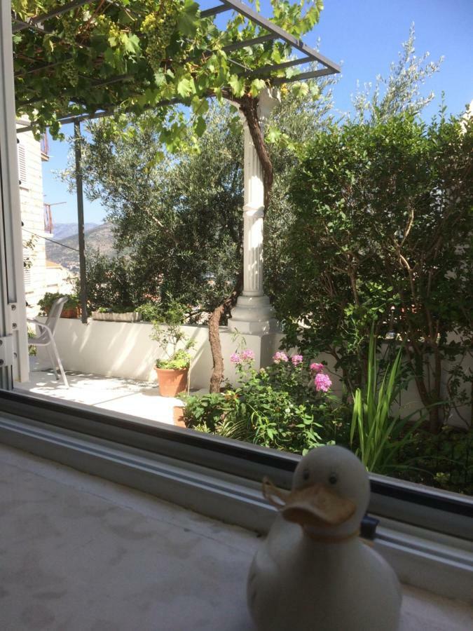 Apartman Vitis Dubrovnik Exteriör bild